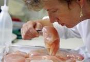 Tips To Identify Rotten Chicken